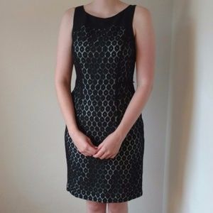 NWT Professional Black Lace Dress
